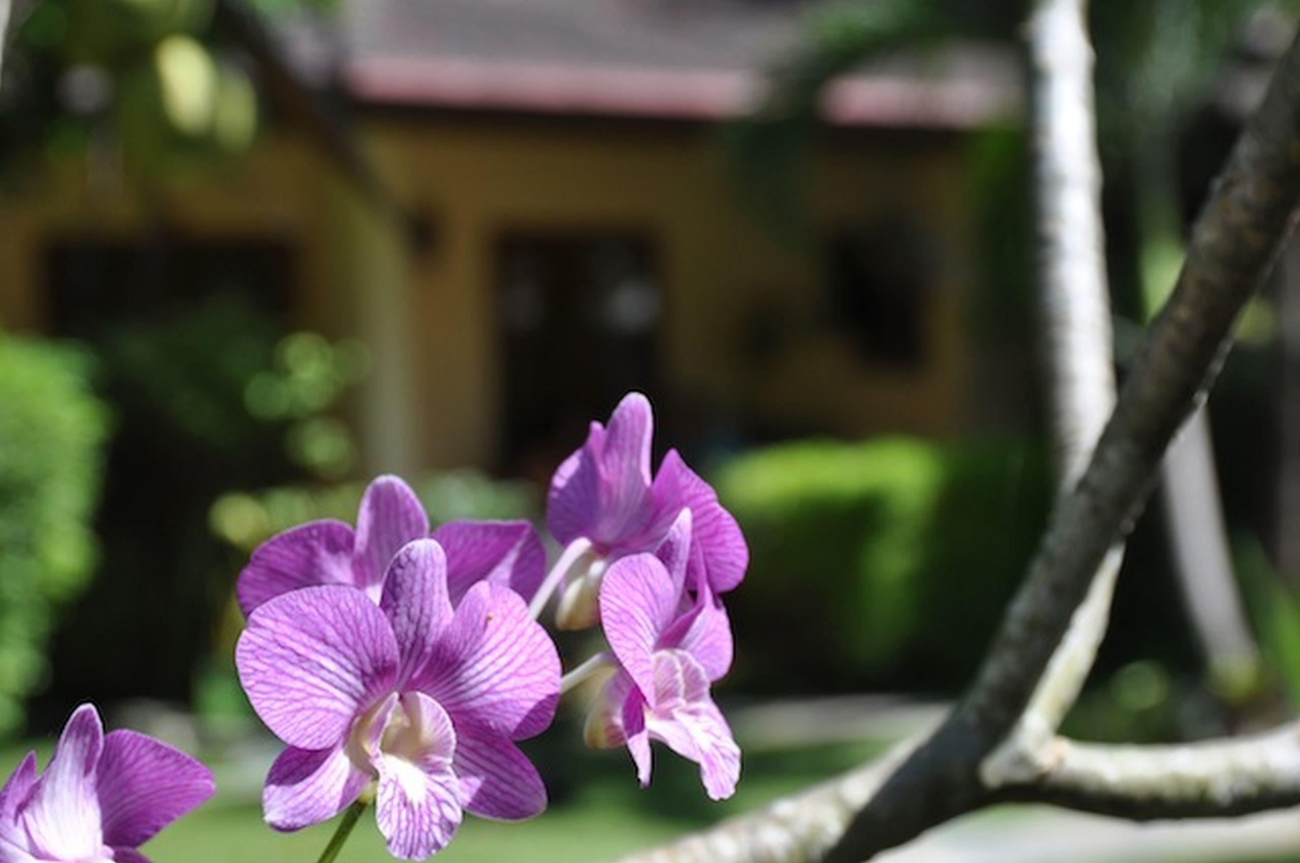 Palm Garden Resort Rawai Ngoại thất bức ảnh